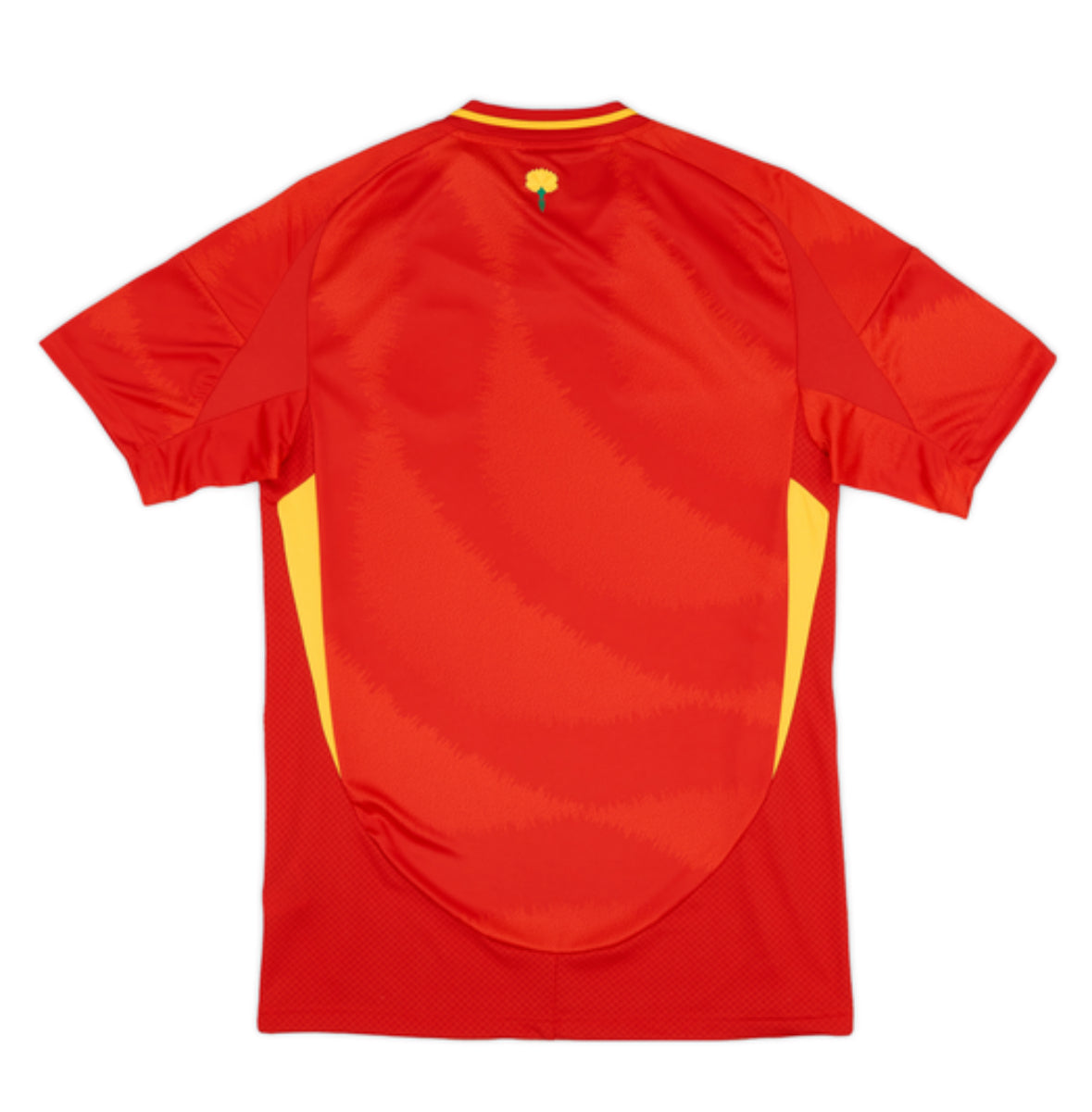 Spain 2024 Home