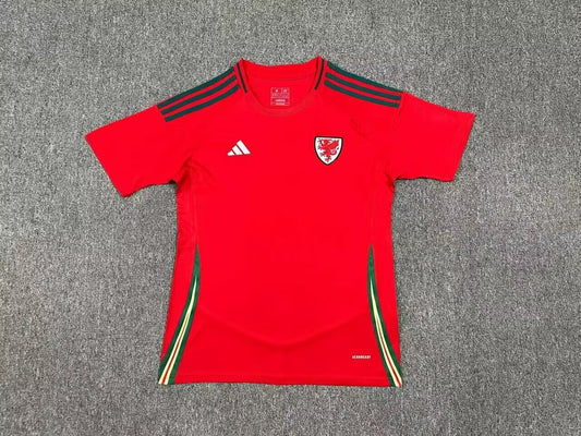 Wales 2024 Home