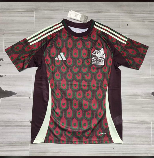 Mexico 2024 Home